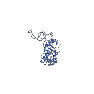 19077_8rdw_E9_v1-2
Cryo-EM structure of P. urativorans 70S ribosome in complex with hibernation factor Balon and EF-Tu(GDP) (structure 3).