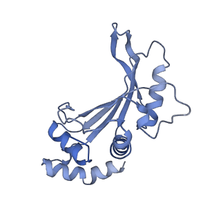 19077_8rdw_F7_v1-2
Cryo-EM structure of P. urativorans 70S ribosome in complex with hibernation factor Balon and EF-Tu(GDP) (structure 3).