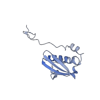 19077_8rdw_F_v1-2
Cryo-EM structure of P. urativorans 70S ribosome in complex with hibernation factor Balon and EF-Tu(GDP) (structure 3).