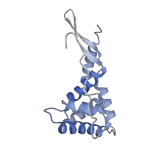 19077_8rdw_GS_v1-2
Cryo-EM structure of P. urativorans 70S ribosome in complex with hibernation factor Balon and EF-Tu(GDP) (structure 3).