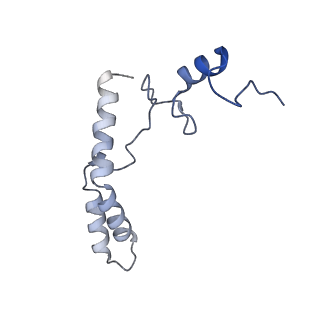 19077_8rdw_HK_v1-2
Cryo-EM structure of P. urativorans 70S ribosome in complex with hibernation factor Balon and EF-Tu(GDP) (structure 3).