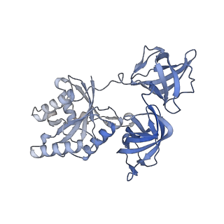 19077_8rdw_H_v1-2
Cryo-EM structure of P. urativorans 70S ribosome in complex with hibernation factor Balon and EF-Tu(GDP) (structure 3).
