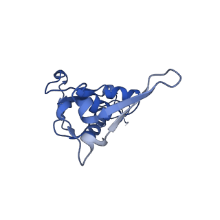 19077_8rdw_IX_v1-2
Cryo-EM structure of P. urativorans 70S ribosome in complex with hibernation factor Balon and EF-Tu(GDP) (structure 3).