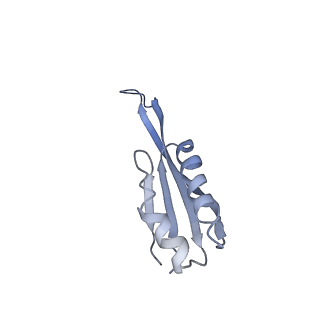 19077_8rdw_JY_v1-2
Cryo-EM structure of P. urativorans 70S ribosome in complex with hibernation factor Balon and EF-Tu(GDP) (structure 3).