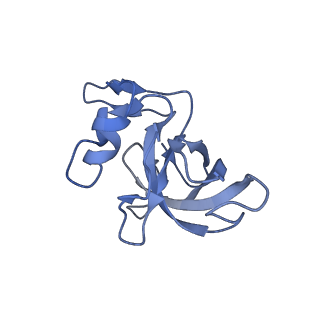 19077_8rdw_Je_v1-2
Cryo-EM structure of P. urativorans 70S ribosome in complex with hibernation factor Balon and EF-Tu(GDP) (structure 3).