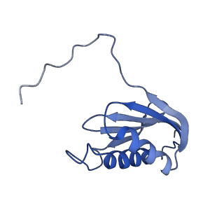 19077_8rdw_KU_v1-2
Cryo-EM structure of P. urativorans 70S ribosome in complex with hibernation factor Balon and EF-Tu(GDP) (structure 3).