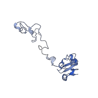 19077_8rdw_Kd_v1-2
Cryo-EM structure of P. urativorans 70S ribosome in complex with hibernation factor Balon and EF-Tu(GDP) (structure 3).