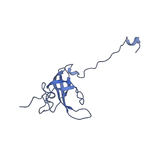 19077_8rdw_L6_v1-2
Cryo-EM structure of P. urativorans 70S ribosome in complex with hibernation factor Balon and EF-Tu(GDP) (structure 3).