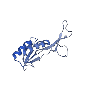 19077_8rdw_Lg_v1-2
Cryo-EM structure of P. urativorans 70S ribosome in complex with hibernation factor Balon and EF-Tu(GDP) (structure 3).