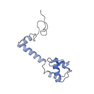 19077_8rdw_MM_v1-2
Cryo-EM structure of P. urativorans 70S ribosome in complex with hibernation factor Balon and EF-Tu(GDP) (structure 3).