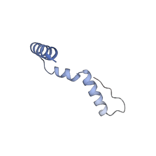 19077_8rdw_NV_v1-2
Cryo-EM structure of P. urativorans 70S ribosome in complex with hibernation factor Balon and EF-Tu(GDP) (structure 3).