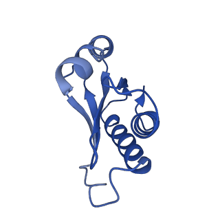 19077_8rdw_Nc_v1-2
Cryo-EM structure of P. urativorans 70S ribosome in complex with hibernation factor Balon and EF-Tu(GDP) (structure 3).