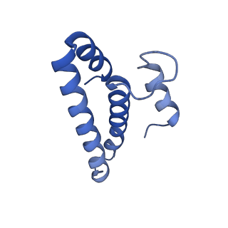 19077_8rdw_OL_v1-2
Cryo-EM structure of P. urativorans 70S ribosome in complex with hibernation factor Balon and EF-Tu(GDP) (structure 3).