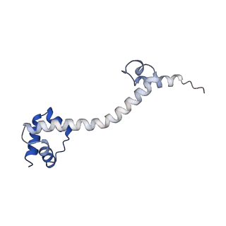 19077_8rdw_PO_v1-2
Cryo-EM structure of P. urativorans 70S ribosome in complex with hibernation factor Balon and EF-Tu(GDP) (structure 3).