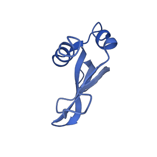 19077_8rdw_Pj_v1-2
Cryo-EM structure of P. urativorans 70S ribosome in complex with hibernation factor Balon and EF-Tu(GDP) (structure 3).