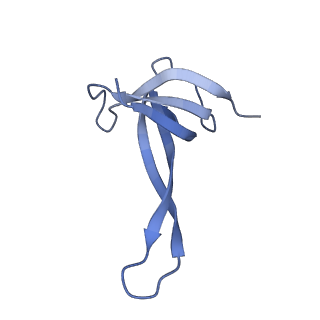 19077_8rdw_QZ_v1-2
Cryo-EM structure of P. urativorans 70S ribosome in complex with hibernation factor Balon and EF-Tu(GDP) (structure 3).