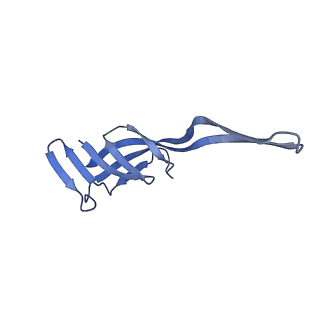 19077_8rdw_Qb_v1-2
Cryo-EM structure of P. urativorans 70S ribosome in complex with hibernation factor Balon and EF-Tu(GDP) (structure 3).