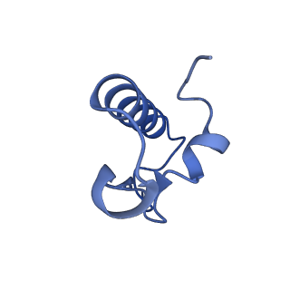 19077_8rdw_R3_v1-2
Cryo-EM structure of P. urativorans 70S ribosome in complex with hibernation factor Balon and EF-Tu(GDP) (structure 3).