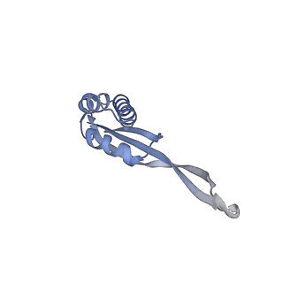 19077_8rdw_RF_v1-2
Cryo-EM structure of P. urativorans 70S ribosome in complex with hibernation factor Balon and EF-Tu(GDP) (structure 3).