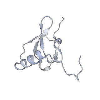 19077_8rdw_SP_v1-2
Cryo-EM structure of P. urativorans 70S ribosome in complex with hibernation factor Balon and EF-Tu(GDP) (structure 3).