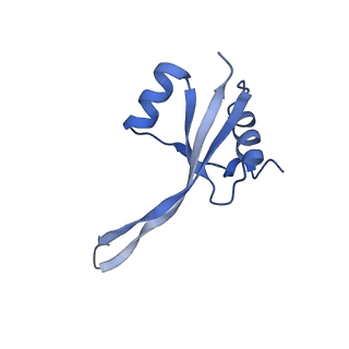 19077_8rdw_Sn_v1-2
Cryo-EM structure of P. urativorans 70S ribosome in complex with hibernation factor Balon and EF-Tu(GDP) (structure 3).