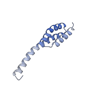 19077_8rdw_To_v1-2
Cryo-EM structure of P. urativorans 70S ribosome in complex with hibernation factor Balon and EF-Tu(GDP) (structure 3).