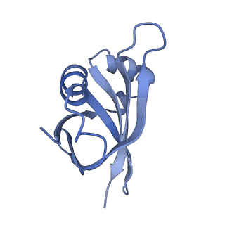 19077_8rdw_UC_v1-2
Cryo-EM structure of P. urativorans 70S ribosome in complex with hibernation factor Balon and EF-Tu(GDP) (structure 3).