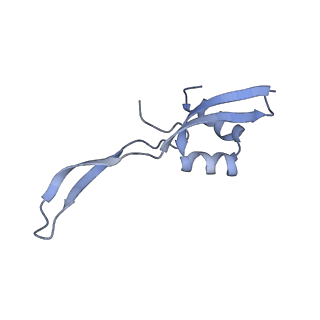 19077_8rdw_WD_v1-2
Cryo-EM structure of P. urativorans 70S ribosome in complex with hibernation factor Balon and EF-Tu(GDP) (structure 3).