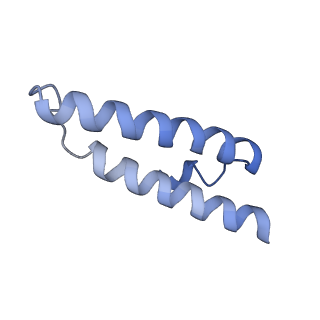 19077_8rdw_XE_v1-2
Cryo-EM structure of P. urativorans 70S ribosome in complex with hibernation factor Balon and EF-Tu(GDP) (structure 3).