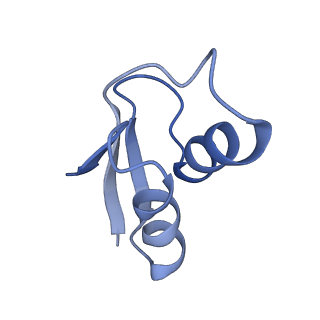 19077_8rdw_YW_v1-2
Cryo-EM structure of P. urativorans 70S ribosome in complex with hibernation factor Balon and EF-Tu(GDP) (structure 3).