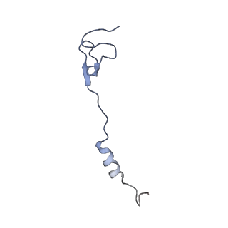 19077_8rdw_aA_v1-2
Cryo-EM structure of P. urativorans 70S ribosome in complex with hibernation factor Balon and EF-Tu(GDP) (structure 3).