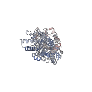 24413_7rd6_A_v1-1
Structure of the S. cerevisiae P4B ATPase lipid flippase in the E2P state