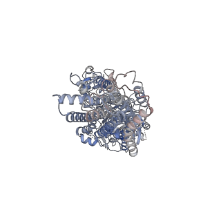 24414_7rd7_A_v1-1
Structure of the S. cerevisiae P4B ATPase lipid flippase in the E2P-transition state