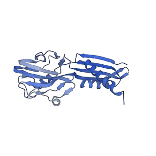 24424_7rdq_B_v1-1
Cryo-EM structure of Thermus thermophilus reiterative transcription complex with 11nt oligo-G RNA