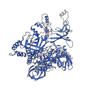 24424_7rdq_C_v1-1
Cryo-EM structure of Thermus thermophilus reiterative transcription complex with 11nt oligo-G RNA