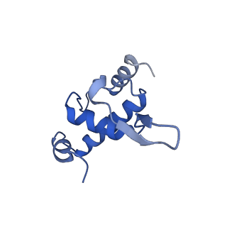24424_7rdq_E_v1-1
Cryo-EM structure of Thermus thermophilus reiterative transcription complex with 11nt oligo-G RNA