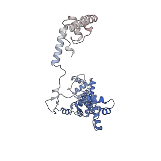 24424_7rdq_F_v1-1
Cryo-EM structure of Thermus thermophilus reiterative transcription complex with 11nt oligo-G RNA