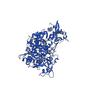 24426_7rdx_A_v1-3
SARS-CoV-2 replication-transcription complex bound to nsp13 helicase - nsp13(2)-RTC - open class