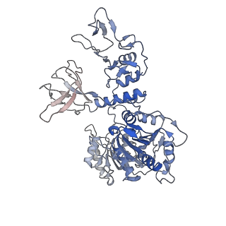 24426_7rdx_E_v1-3
SARS-CoV-2 replication-transcription complex bound to nsp13 helicase - nsp13(2)-RTC - open class