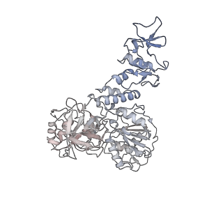 24426_7rdx_F_v1-3
SARS-CoV-2 replication-transcription complex bound to nsp13 helicase - nsp13(2)-RTC - open class