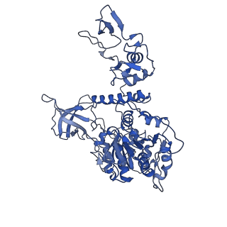 24427_7rdy_E_v1-2
SARS-CoV-2 replication-transcription complex bound to nsp13 helicase - nsp13(2)-RTC - engaged class
