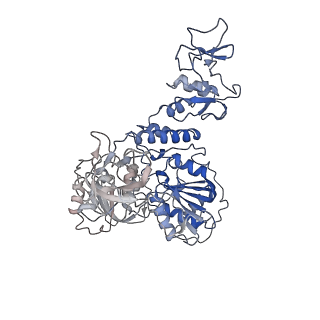 24427_7rdy_F_v1-2
SARS-CoV-2 replication-transcription complex bound to nsp13 helicase - nsp13(2)-RTC - engaged class