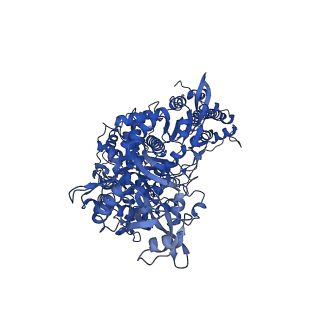 24428_7rdz_A_v1-3
SARS-CoV-2 replication-transcription complex bound to nsp13 helicase - nsp13(2)-RTC - apo class