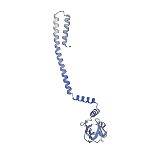 24428_7rdz_D_v1-3
SARS-CoV-2 replication-transcription complex bound to nsp13 helicase - nsp13(2)-RTC - apo class