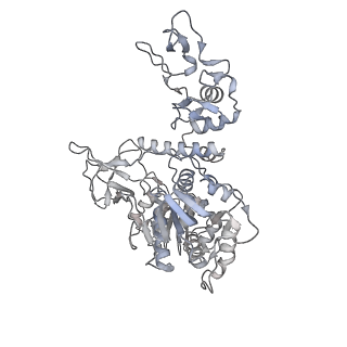 24428_7rdz_E_v1-3
SARS-CoV-2 replication-transcription complex bound to nsp13 helicase - nsp13(2)-RTC - apo class