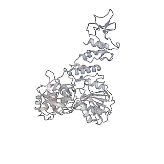 24428_7rdz_F_v1-3
SARS-CoV-2 replication-transcription complex bound to nsp13 helicase - nsp13(2)-RTC - apo class