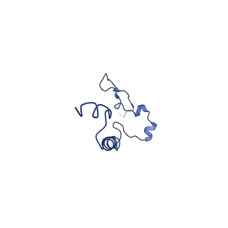 4805_6rd4_0_v1-3
CryoEM structure of Polytomella F-ATP synthase, Full dimer, composite map