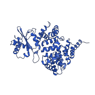 4805_6rd4_2_v1-3
CryoEM structure of Polytomella F-ATP synthase, Full dimer, composite map