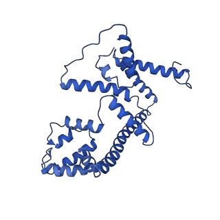 4805_6rd4_4_v1-3
CryoEM structure of Polytomella F-ATP synthase, Full dimer, composite map