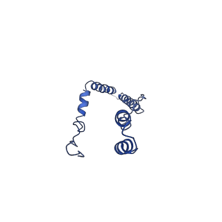 4805_6rd4_6_v1-3
CryoEM structure of Polytomella F-ATP synthase, Full dimer, composite map